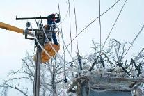 Ликвидация последствий ледяного дождя в электросетевом комплексе Кубани, январь 2014 год (Девятый канал, 24.01.2014)