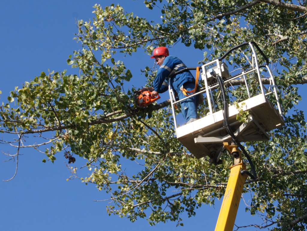 DSC05010 - �����.JPG