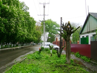 DSC02640 - �����.JPG