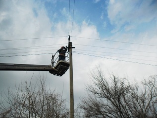 ������  ������.JPG