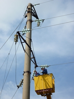 P1020399 - �����.JPG