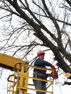 ������� �������� - �����.JPG