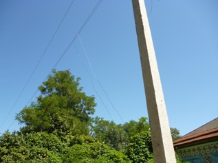 P1000554 - �����.jpg