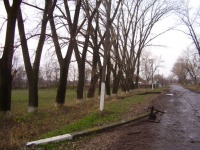 ������ ��� ������������� ������������� ������������� ����, ������������� �����, ������� 2010 ���� (������� ����� ���������� ��������� �������)